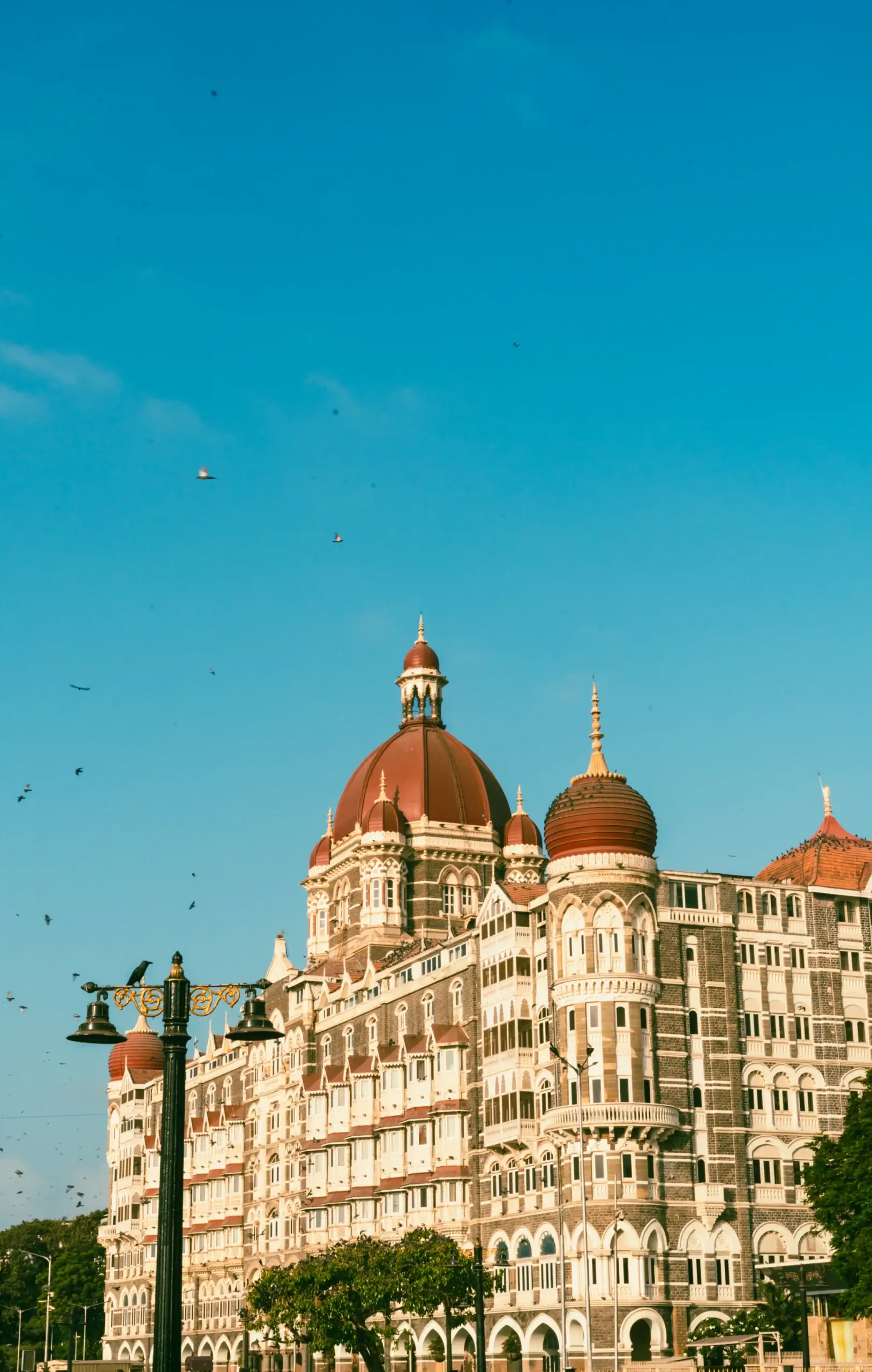 Golden Triangle Tour Packages