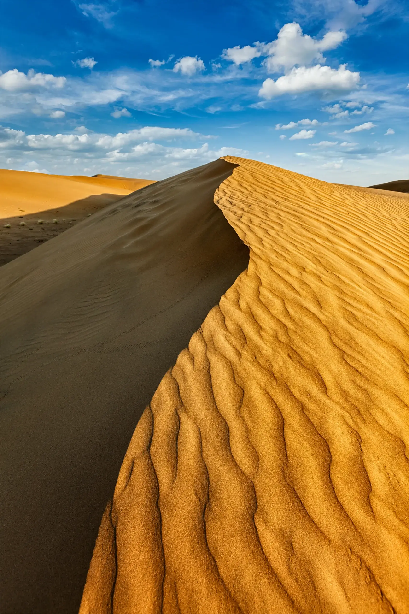 Golden Triangle Tour Packages