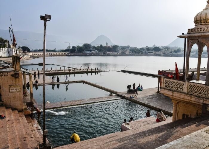 golden triangle tour packages