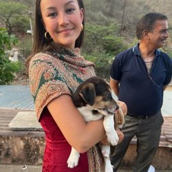 Golden Triangle Tour Packages